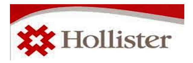 hollister pvt ltd company
